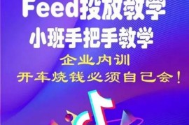合仕传媒《Feed小班手把手投放教学 》