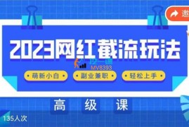 佳境《2023网红同款截流玩法》