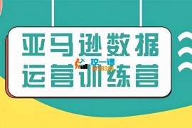 迷之一《亚马逊数据运营特训营》