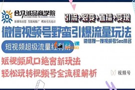 合众诚品《微信视频号野蛮引爆流量玩法》