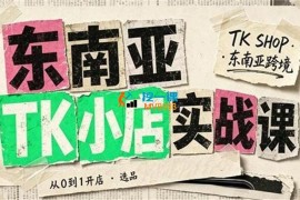 飞哥《东南亚TK小店实战课（基础+进阶）》