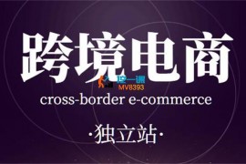 跨境小哥《独立站搭建和流量优化》