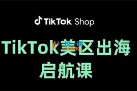 大王真《TikTok出海启航课（美区）》