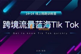 晟睿跨境《14+14TikTok线上陪跑训练营》