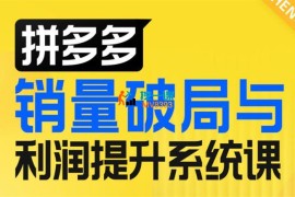 以恒《拼多多销量破局与利润提升系统课》
