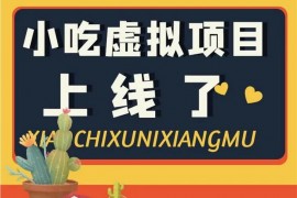 王半圈日入1000小吃技术虚拟项目