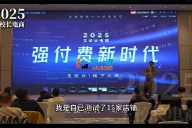 王校长《2025拼多多强付费玩法》