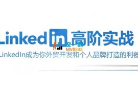 Leslie《Linkedin高阶实战》 