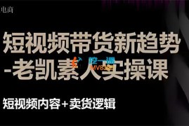 老凯电商《短视频带货没有秘密》