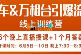 王凯《直通车&万相台引爆流量班》