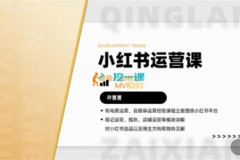 许筐筐《小红书运营课程2.0》