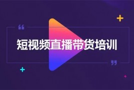 财老师《短视频带货爆单运营》