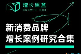 增长黑盒《新消费品牌增长案例研究合集》