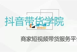 少侠《短视频带货训练营》