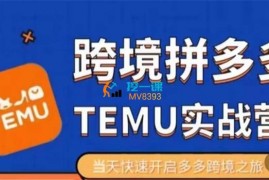 大鹏出海《拼多多跨境temu运营》