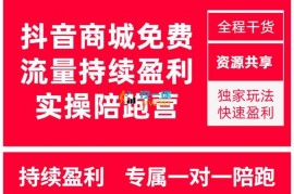 轩少《抖音商城搜索持续盈利陪跑成长营》