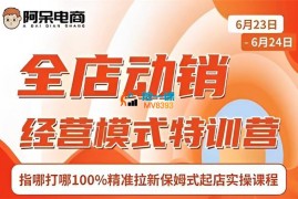 阿呆《全店动销经营模式特训》