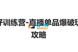 安仔《视频号直播单品爆破玩法攻略》