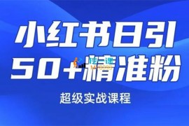 白龙《小红书图文号日引50+精准流量》