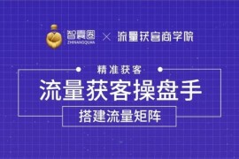 智囊圈《流量获客操盘手系统大课》