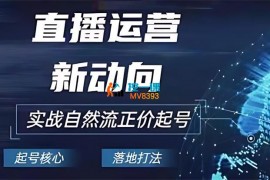 北城《2024电商自然流起号》