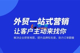 疯狂外贸《外贸全网营销实战课程》