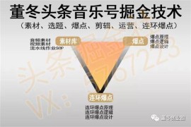 众筹：董东·头条音乐号掘金技术