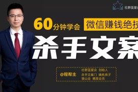 60分钟学会微信赚钱绝技杀手文案