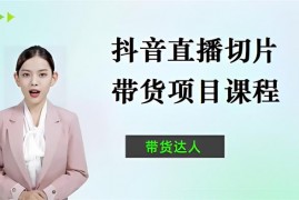 关雅《抖音直播切片带货项目课程》