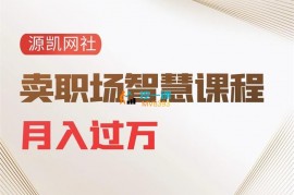 源凯网社《卖职场智慧课程月入过万》