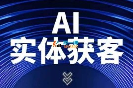 天诺老吴《喂饭级AI获客实战指南》