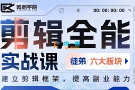 阿宁《全能剪辑实战强化课》