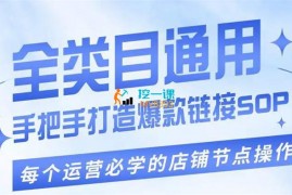 钟辰《单品爆款打造实操运营》