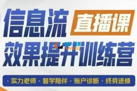 柯楠《信息流效果提升集训营第28期》