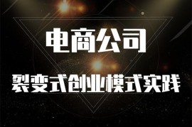 铜舟学堂《电商公司裂变式创业模式实践》