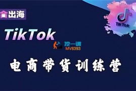 梦合出海《TikTok电商带货训练营》