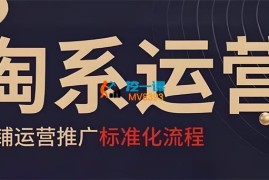 寒冰电商《淘系运营推广标准化流程》