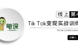 龟课《TikTok变现实战训练营线上第4期》