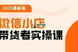 陈奶爸《微信小店2025带货者实操课》