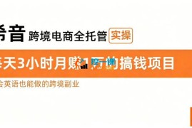 小满《希音跨境电商全托管实操》