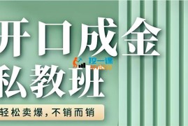 莉子姐《高客单IP私教班》