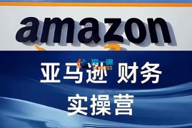 正心香香《亚马逊财务核算实操营》