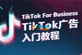 Zach《Tik Tok广告投流系列的实操课》