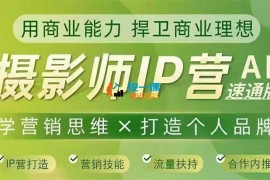 蔡汶川《摄影师IP营第11期Al速通版》