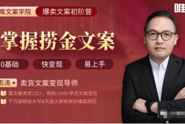 雨涛《30天掌握捞金文案》