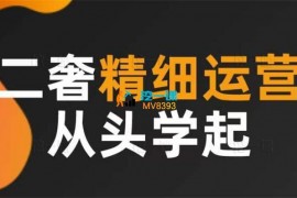 奢奢向上《二奢精细运营从头学起全能营Pro》