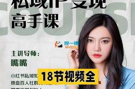 嘴嘴《私域IP变现高手课》