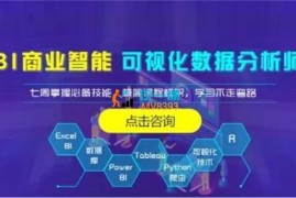 众筹：商业智能可视化数据分析师