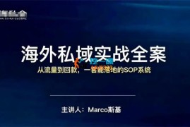 斯基《海外私域实战全案》