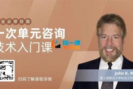 米勒《一次单元咨询技术入门课》